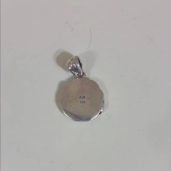 C.C Silver Skull Medallion Necklace